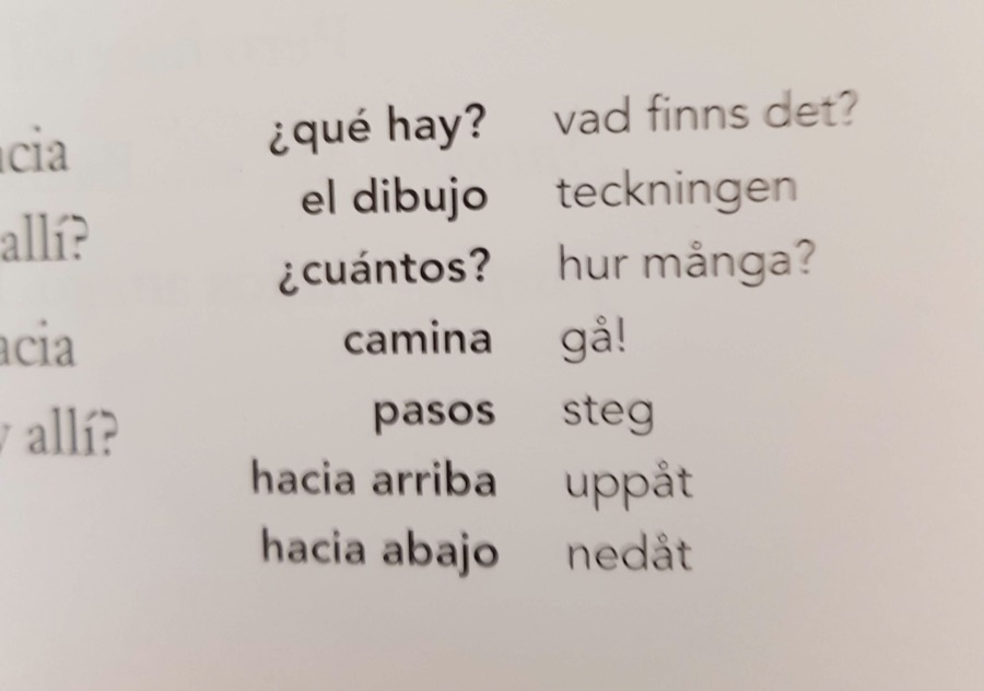 Vocabulary Example